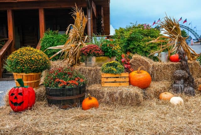 Halloween or Autumn Decoration at Carnival