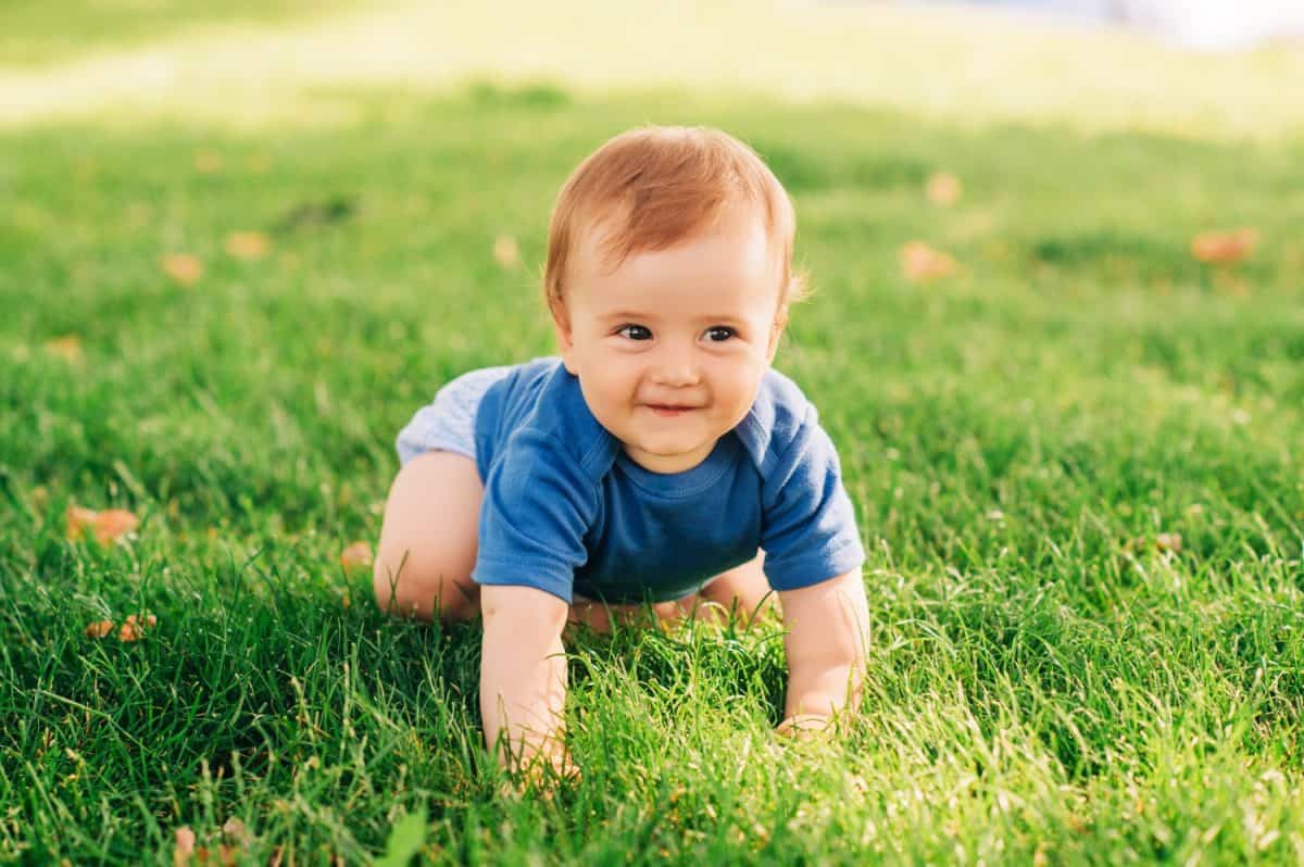 Adorable red haired baby boy crawling on fresh green grass in summer park