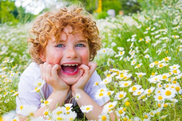 Freckled Boy and daisies. Happy little blond or red hair kid boy with blue eyes laying on the grass with daisies flowers. Child dreaming and smiling against the background of a camomile field.