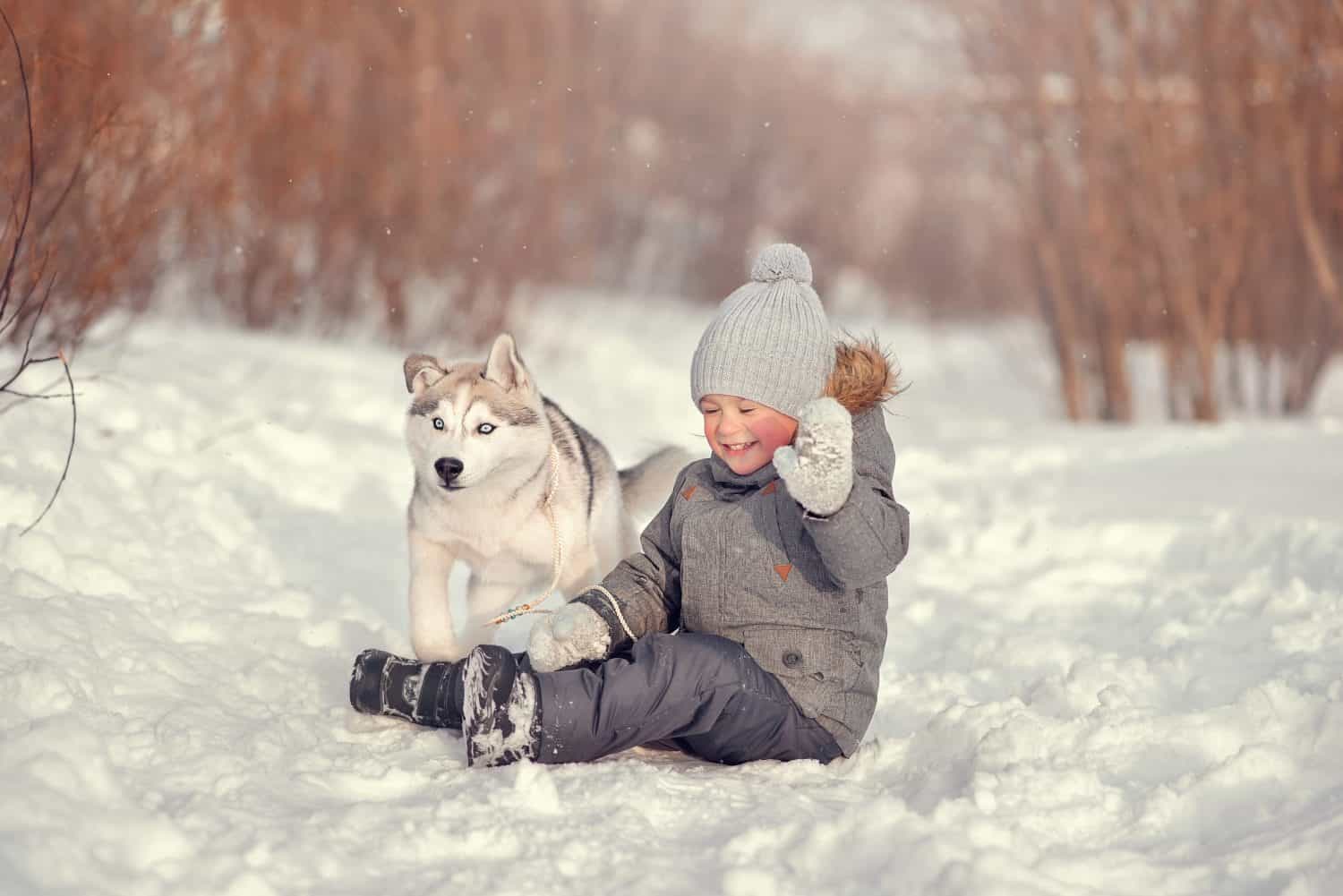 A boy plays with a husky puppy.Husky puppy runs away from the boy.Baby and husky puppy.Children and Huskies in winter.