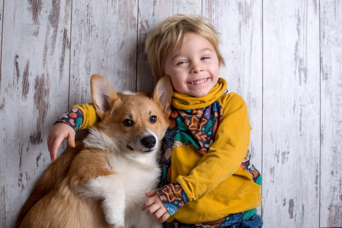 Toddler child and dog, boy and puppy playing together at home, studio shot