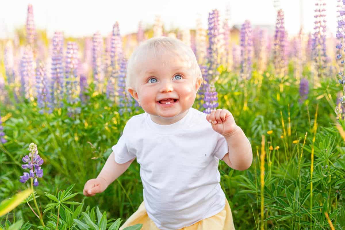 Happy little girl smiling outdoor. Beautiful blond young baby girl resting on summer field with blooming wild flowers green background. Free happy kid, childhood concept. Positive toddler child