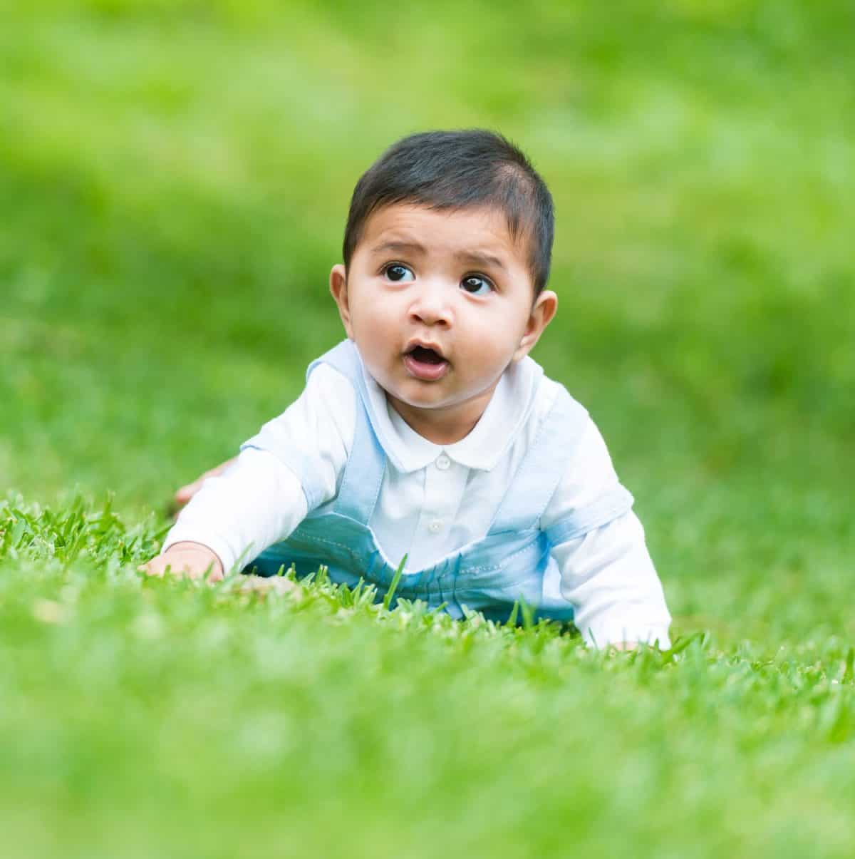 little Spanish boy on the green grass