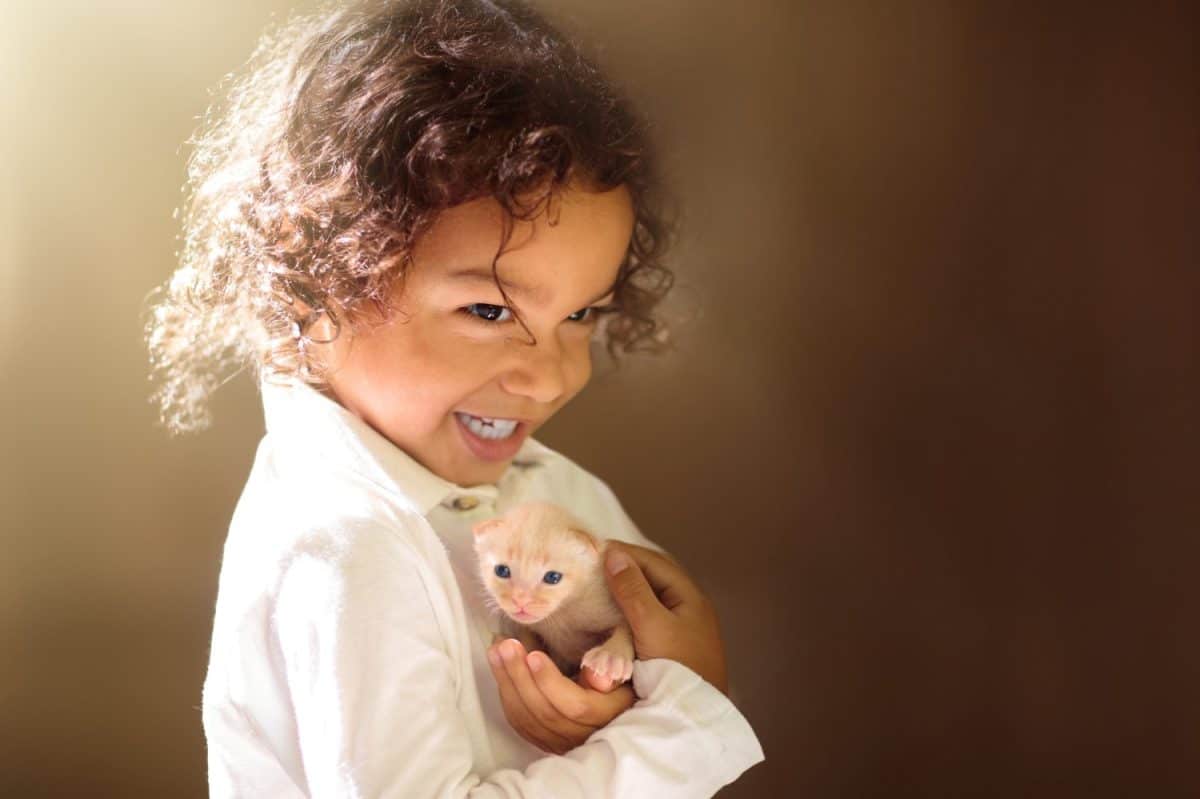 Little boy with baby cat. Child with newborn kitten. Adorable curly kid holding cute fluffy kitty. Kids and pets. Children take care of domestic animal. Love and friendship.