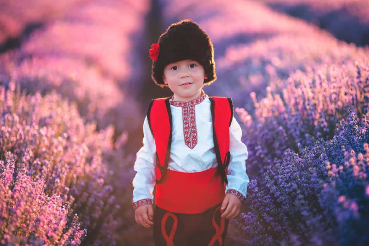 Baby boy in traditional Bulgarian folklore costume in lavender field. Working peasant during lavender harvest.