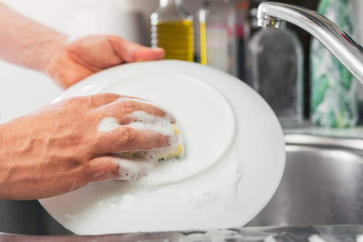 Young woman's hands washing a white dish with water and dish soap. Close-up of female hands rinsing a dirty and used dish with the faucet turned off. Concept of cleanliness. British Household Routines That Confuse Americans