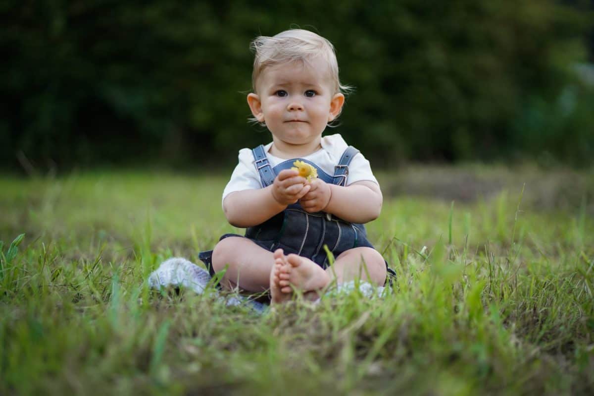 one year old blond german baby boy in bavarian dress with lederhose sitting outside on the meadow with a yellow flower to congratulate for birthday