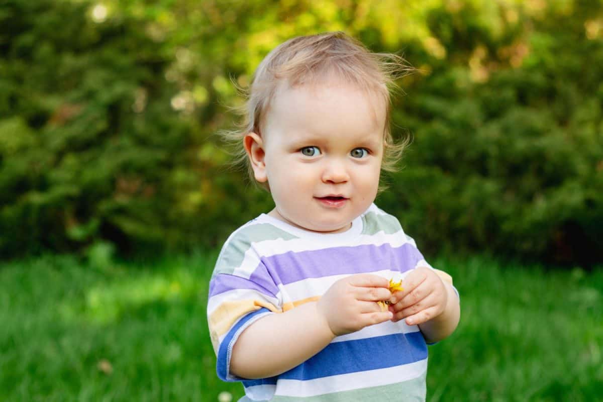 one year old happy blond german baby boy in white shirt playing outside in the garden with a yellow flower to send love or congratulate for birthday.