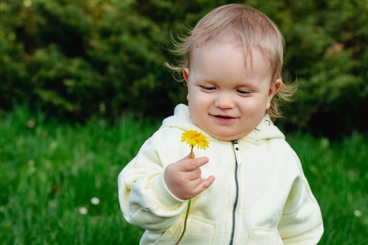 one year old happy blond german baby boy in white shirt playing outside in the garden with a yellow flower to send love or congratulate for birthday.