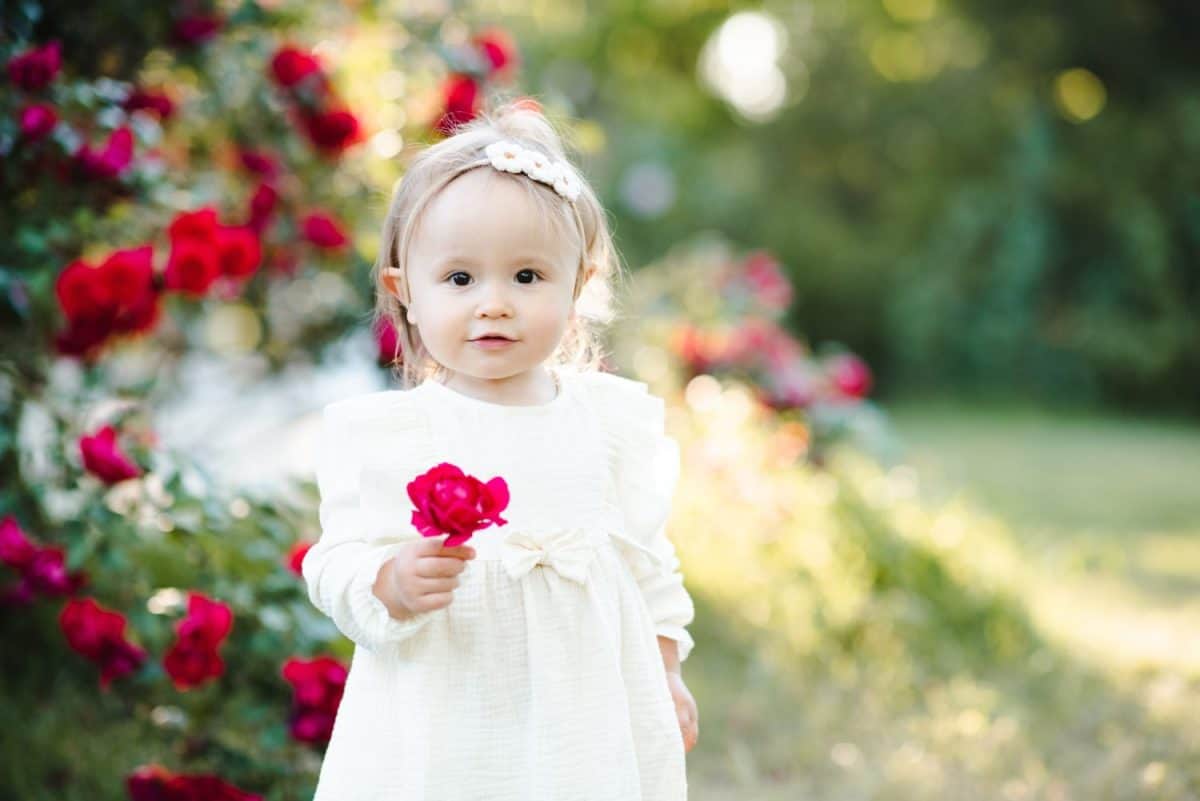 Cute baby girl 2-3 year old holding red rose flower wearing white stylish dress in park outdoors. Looking at camera.