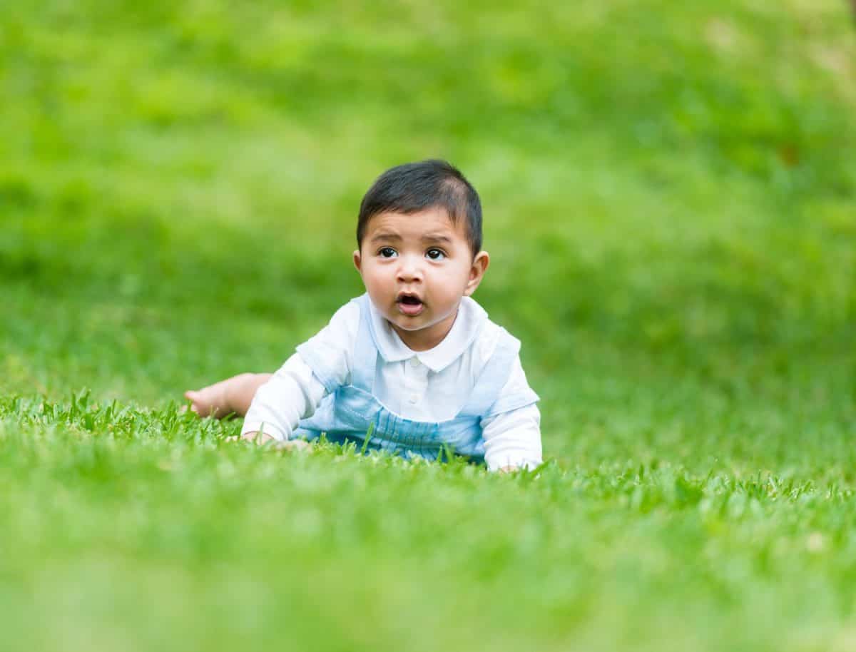 little Spanish boy on the green grass