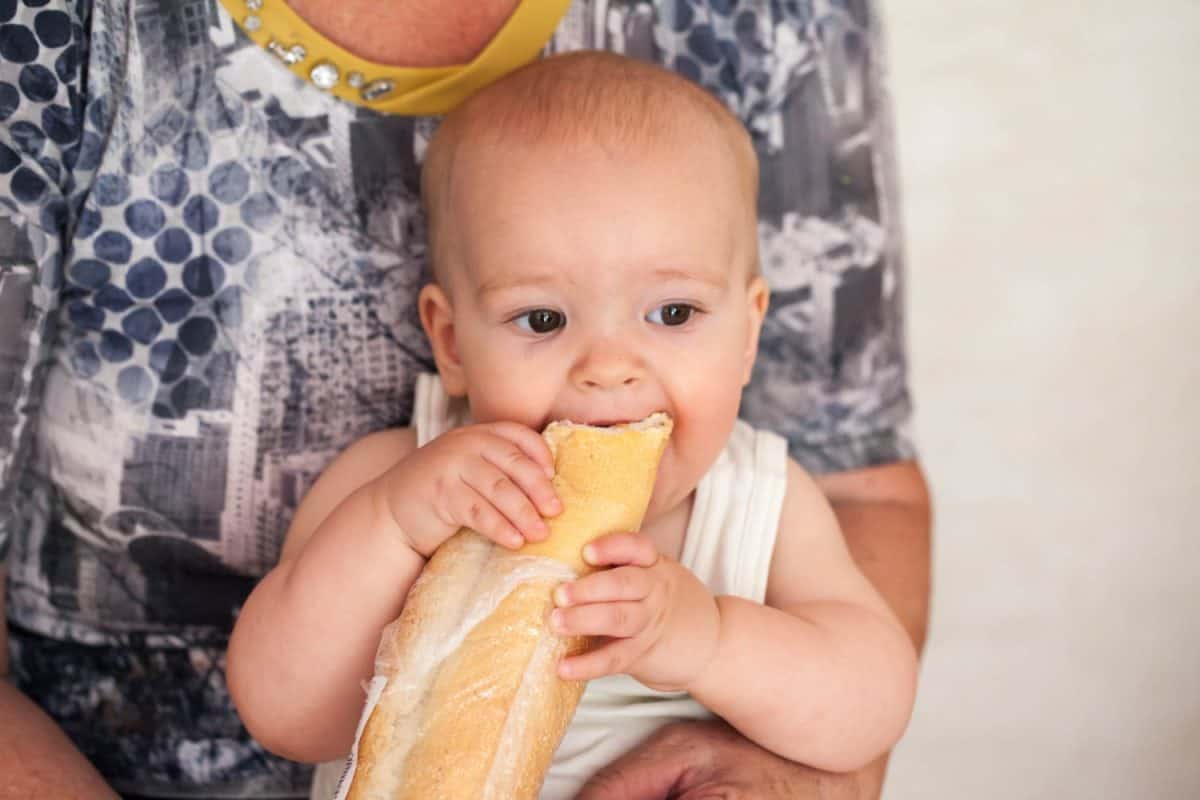 Little baby boy sitting on a chair, a stool, and eating French bread loaf, teething and hungry