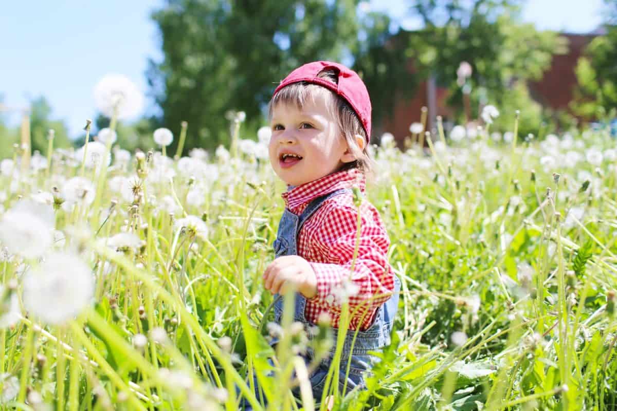 smiling baby boy sitting against blowballs