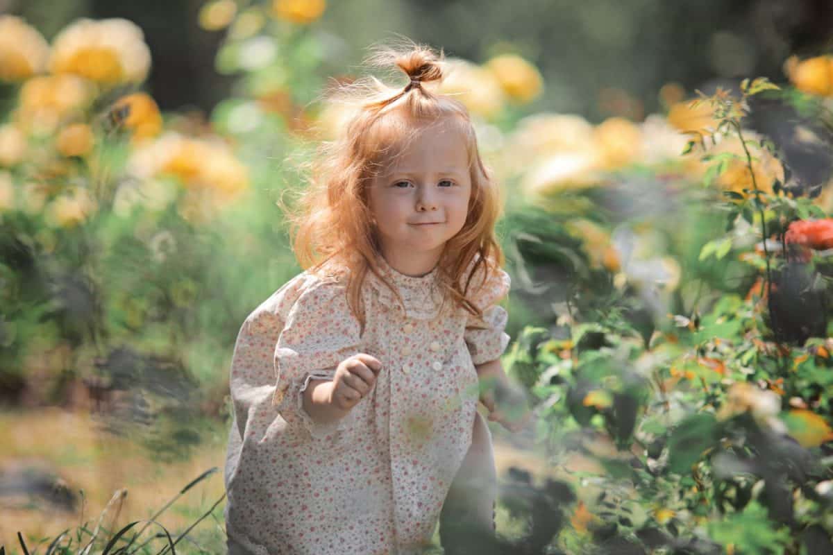 Little red-hair girl walk on sunny roses flowerbed in park. Foxy hair toddler run through high grass in the magic summer sun light, having fun carefree happy childhood