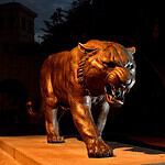 Louisiana State University Tigers