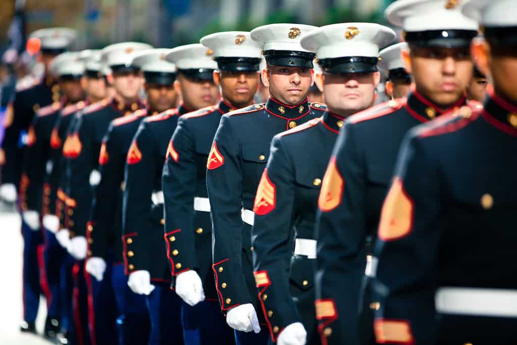 The Typical American Doesn't Know These Simple Facts About Veterans Day