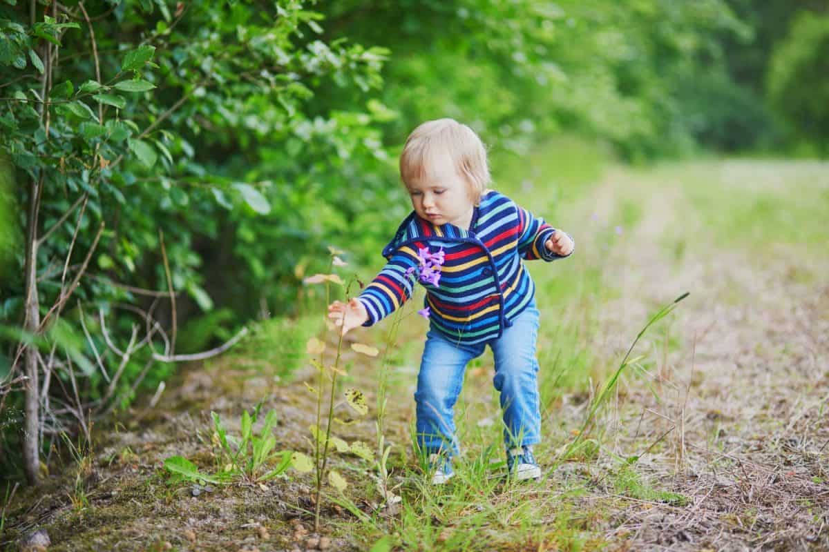 Adorable baby girl in the forest, looking at bell-flower. Little child having fun outdoors. Kid exploring nature