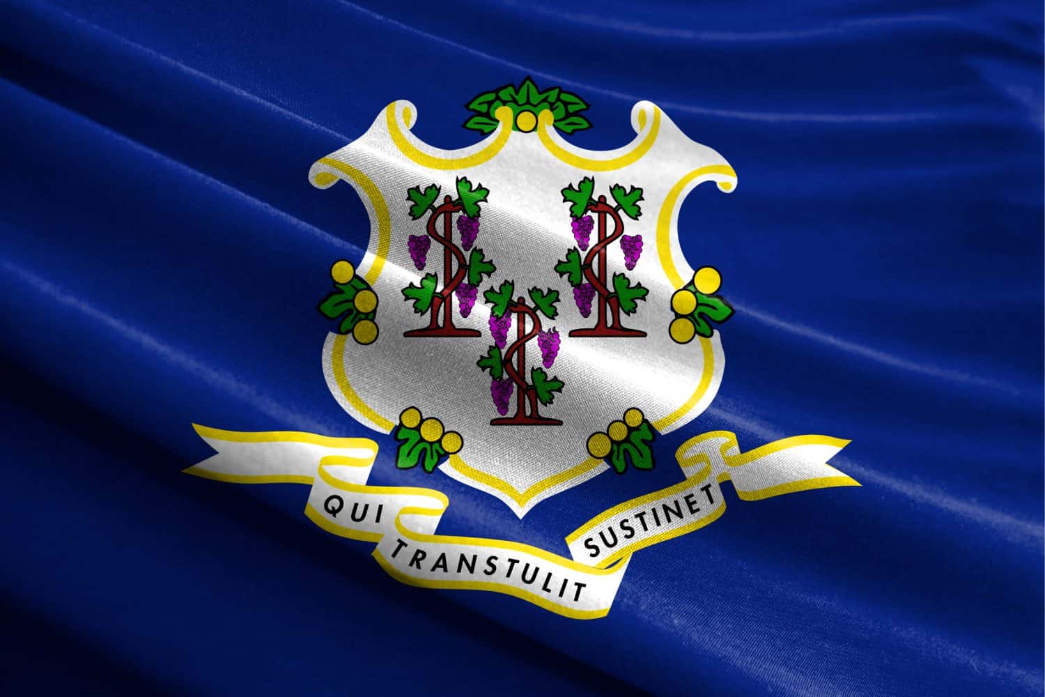 Blue Flag with the Motto "Qui Transtulit Sustinet"