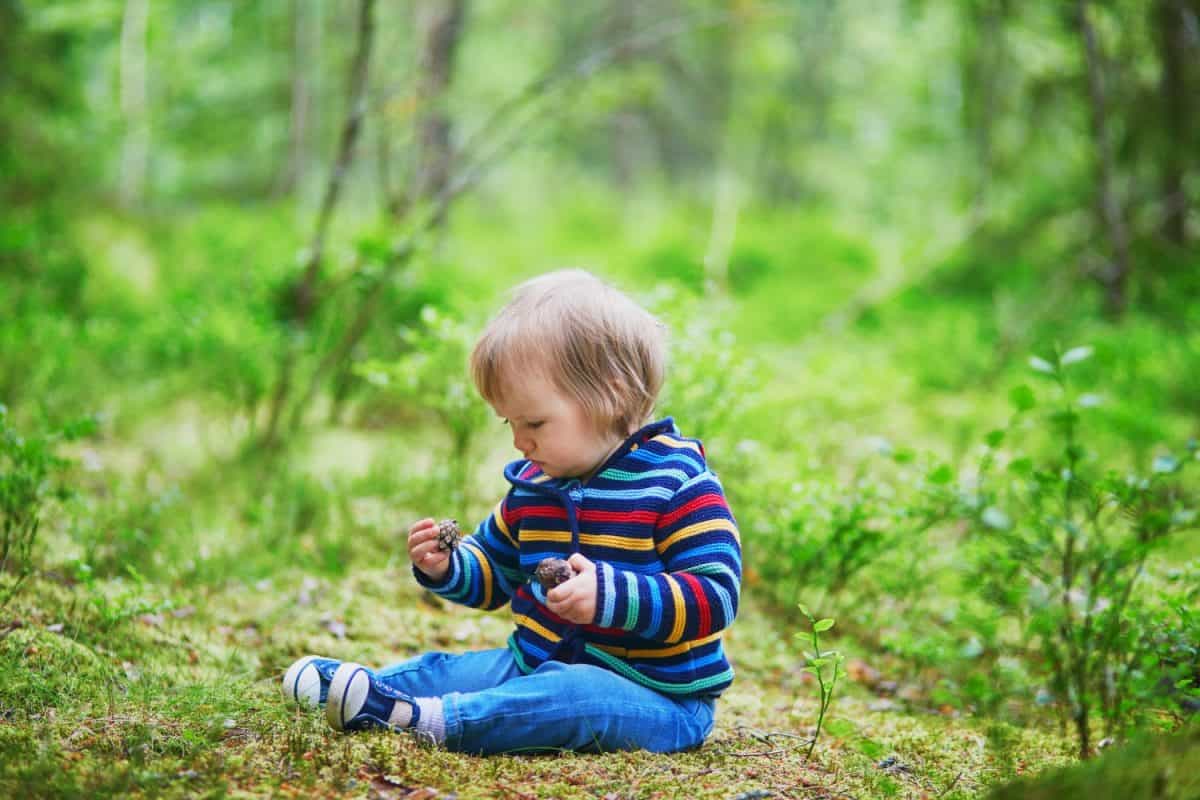 Adorable baby girl in the forest, sitting on the ground and playing with pine cones. Little child having fun outdoors. Kid exploring nature