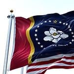 The Center of This Flag is a Magnolia Flower