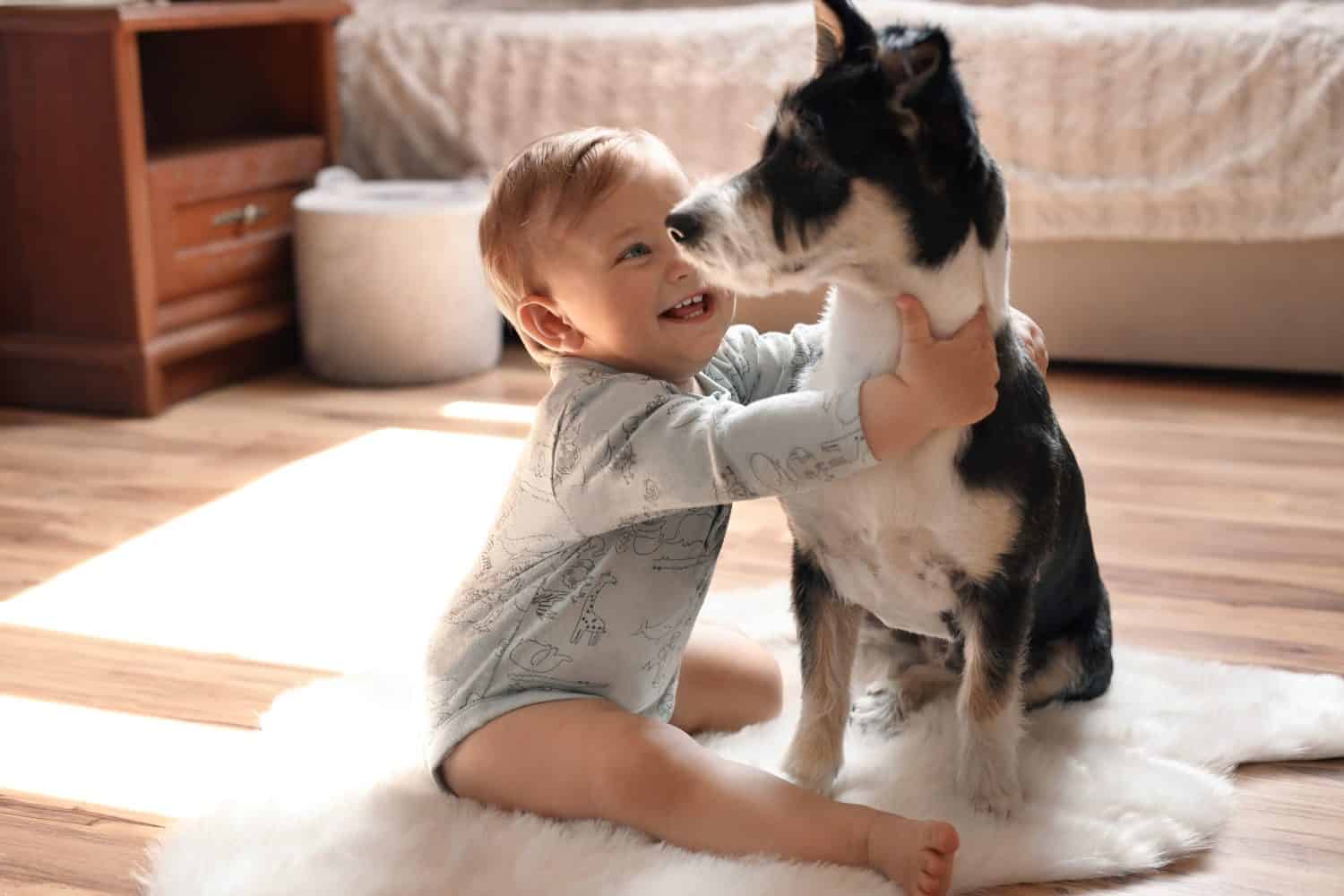 Adorable baby and cute dog on faux fur rug at home