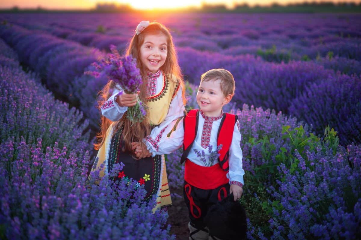 Portrait of children boy and girl in traditional Bulgarian folklore costume in lavender field during sunset