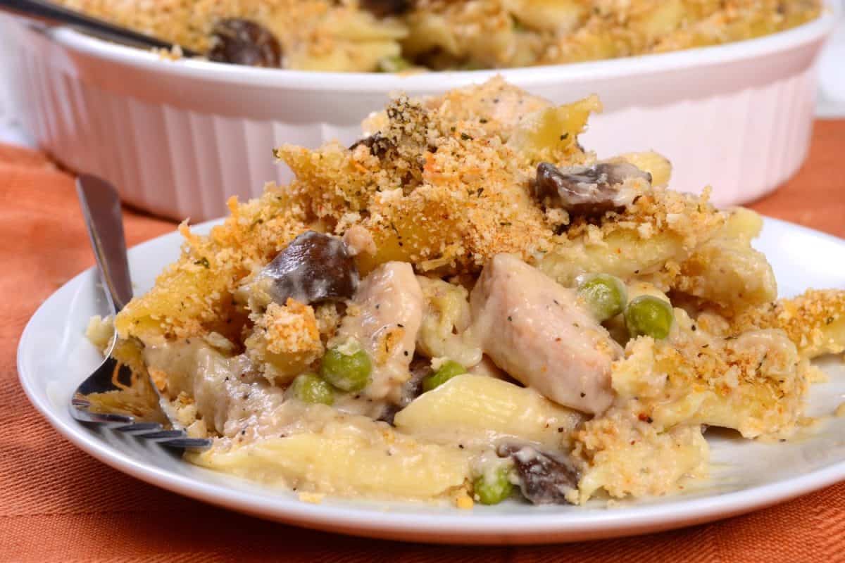 Delicious homemade turkey tetrazzini on a white plate with a casserole in the background