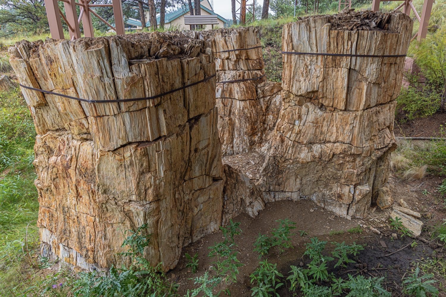 Florissant Fossil Beds