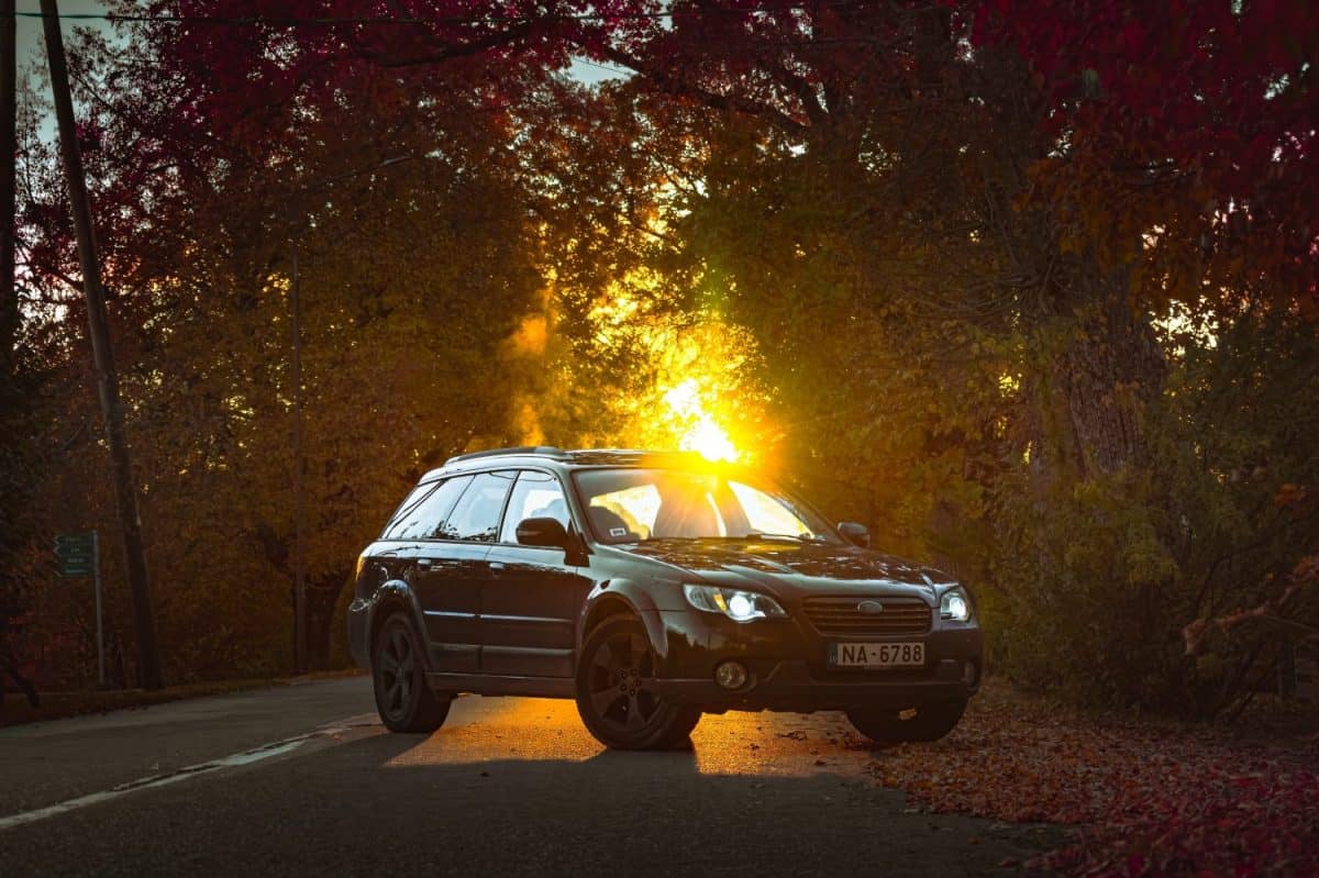 subaru outback on the road with leaves un sunset. You Can Buy These Cars for Less Than a Trip to Disney World