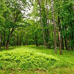 Effigy Mounds