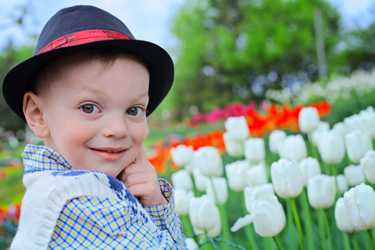 Adorable toddler boy wearing traditional hat playing in a field of blooming tulips in Amsterdam region, Holland, Netherlands. Happy child against spring flowers background