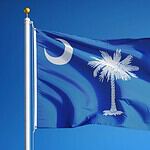 A Blue Flag with a Palmetto Tree and a Crescent Moon