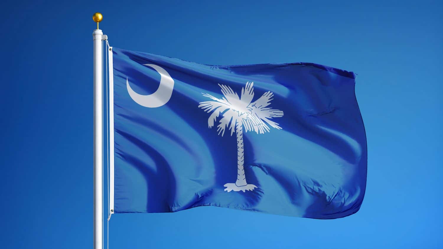 A Blue Flag with a Palmetto Tree and a Crescent Moon