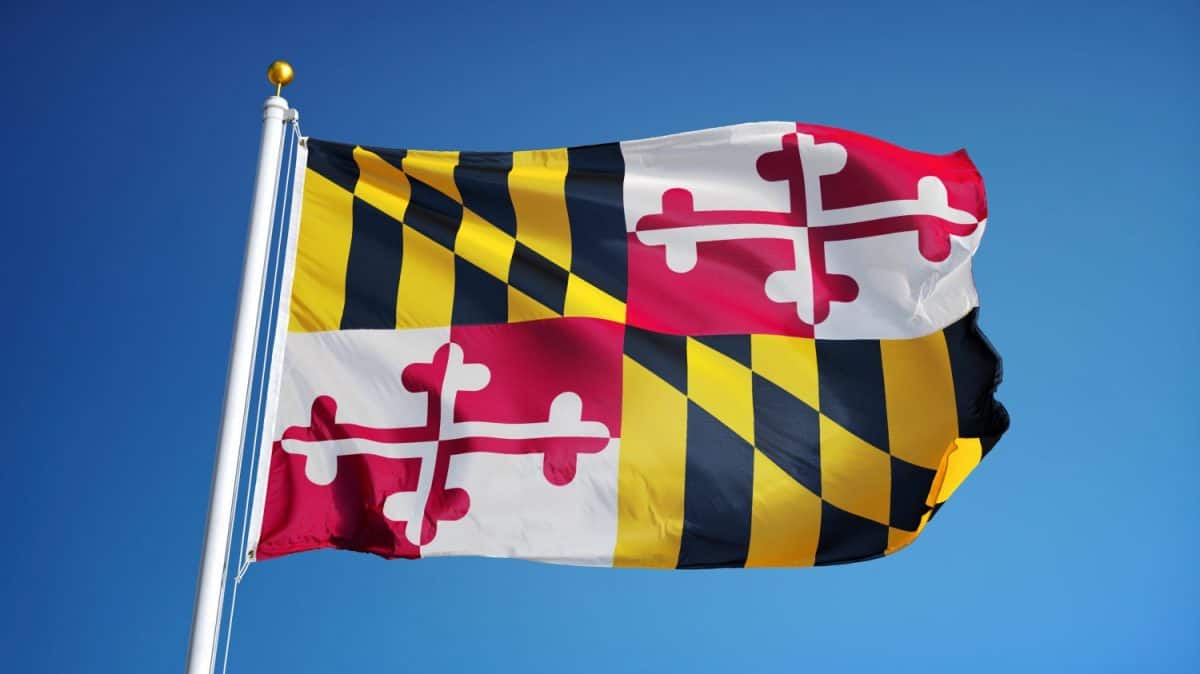 Maryland (U.S. state) flag waving against clear blue sky, close up, isolated with clipping path mask alpha channel transparency, perfect for film, news, composition