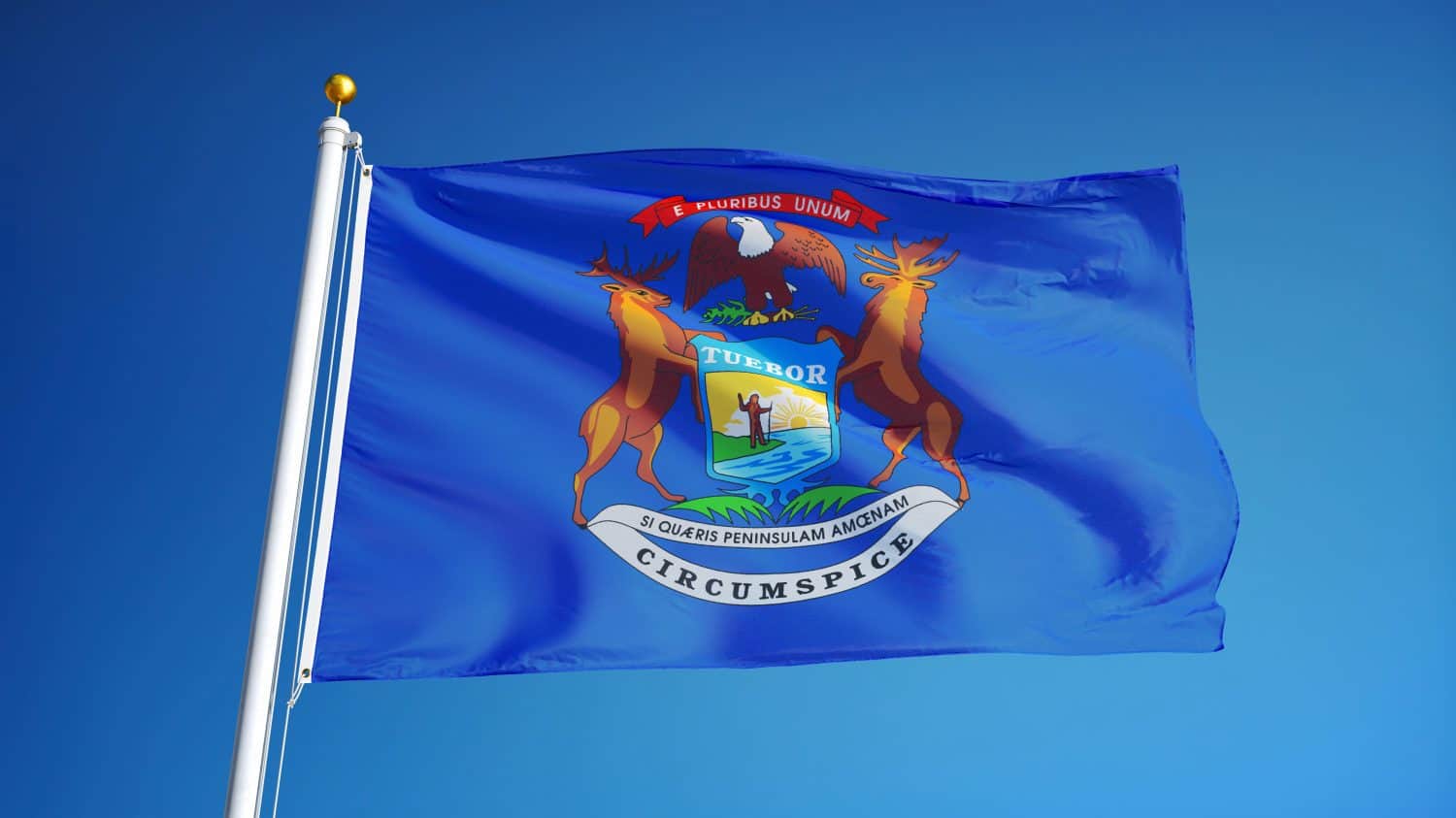 A Blue Flag with a Coat of Arms Representing the State Seal