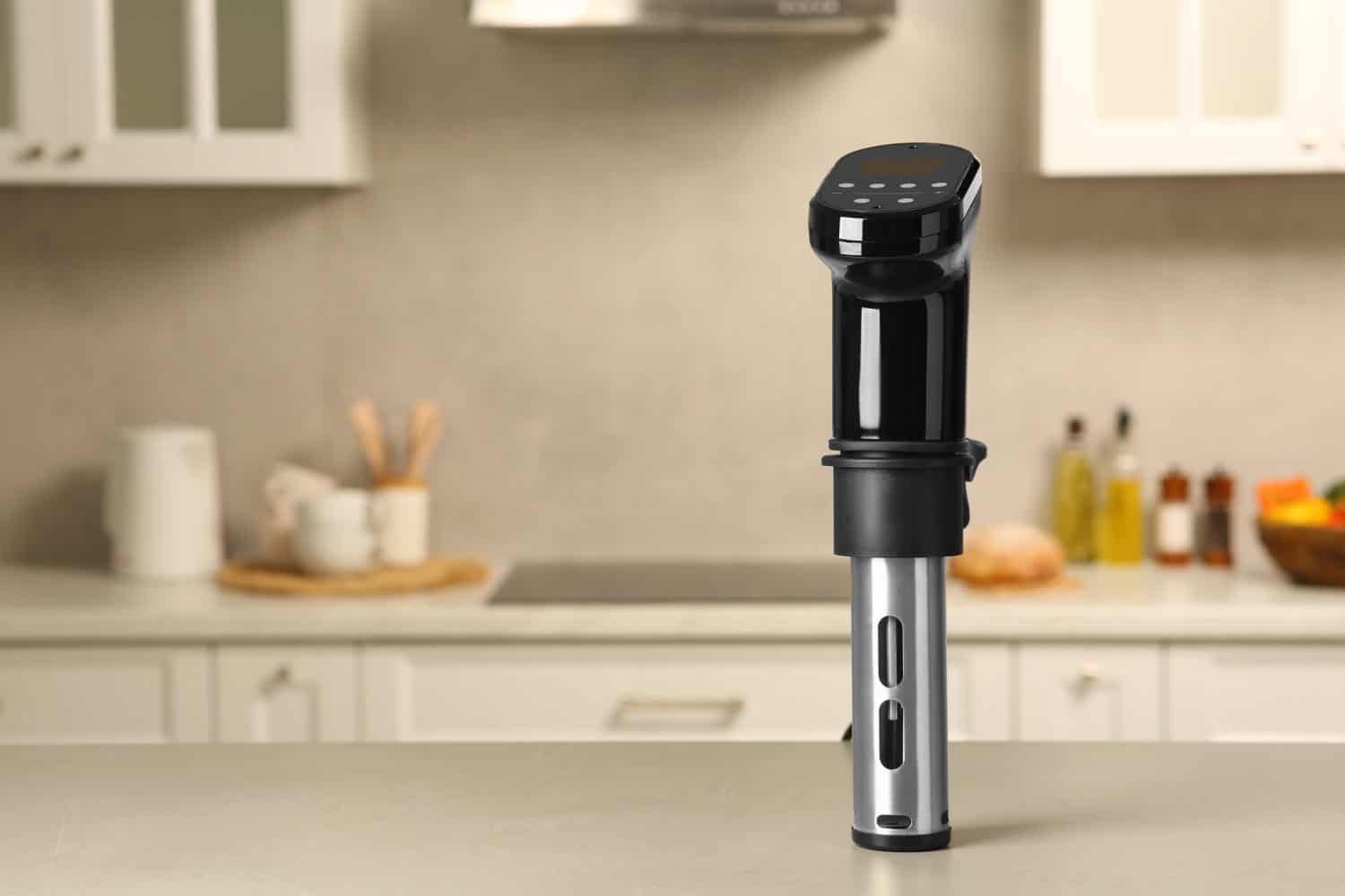 Sous Vide Precision Cooker 2.0 (WiFi) - Anova Culinary