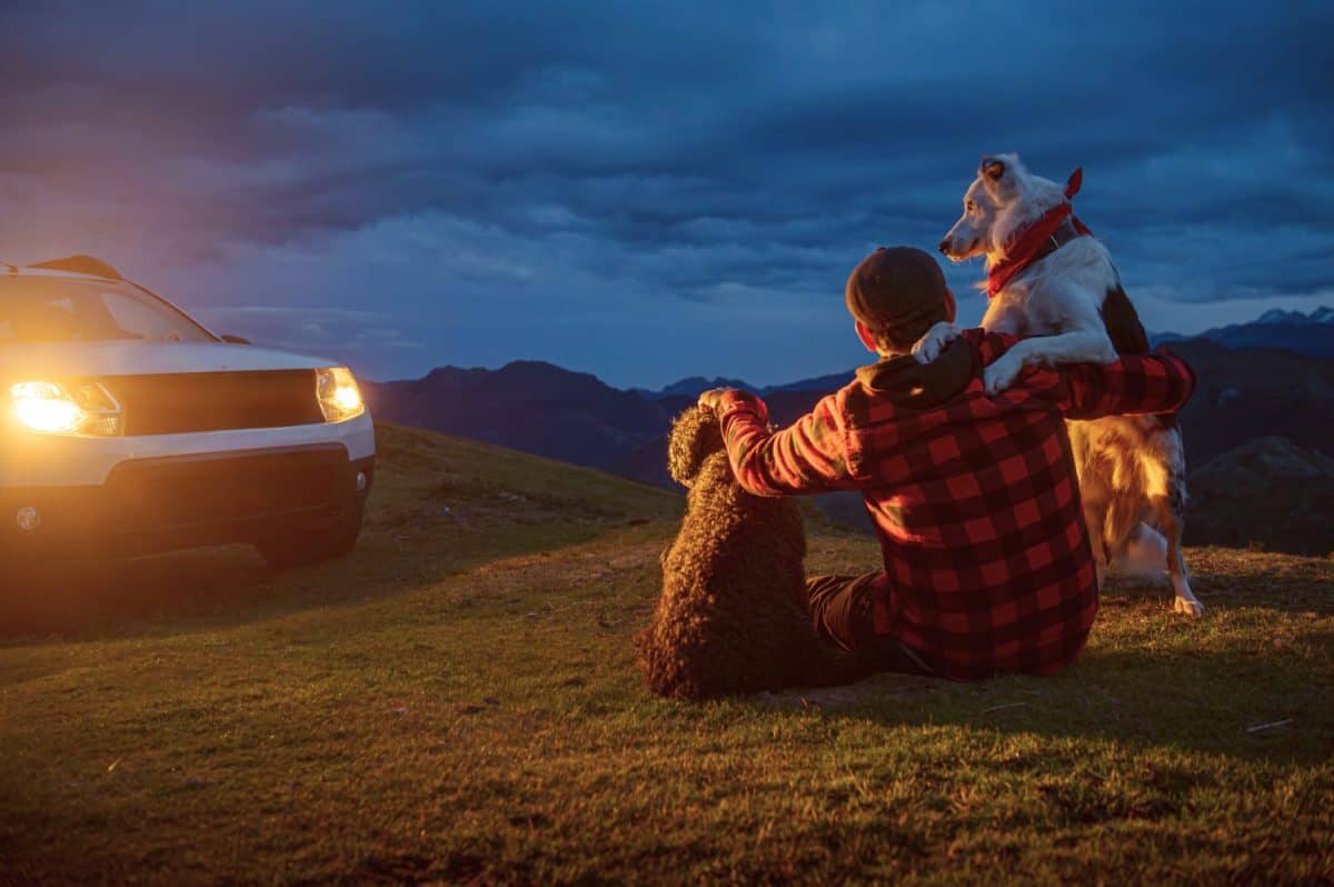 Man sitting on the grass of a mountain with his two dogs near his 4x4 SUV car during a stop on his adventure travel. traveling with pets. travel at night.