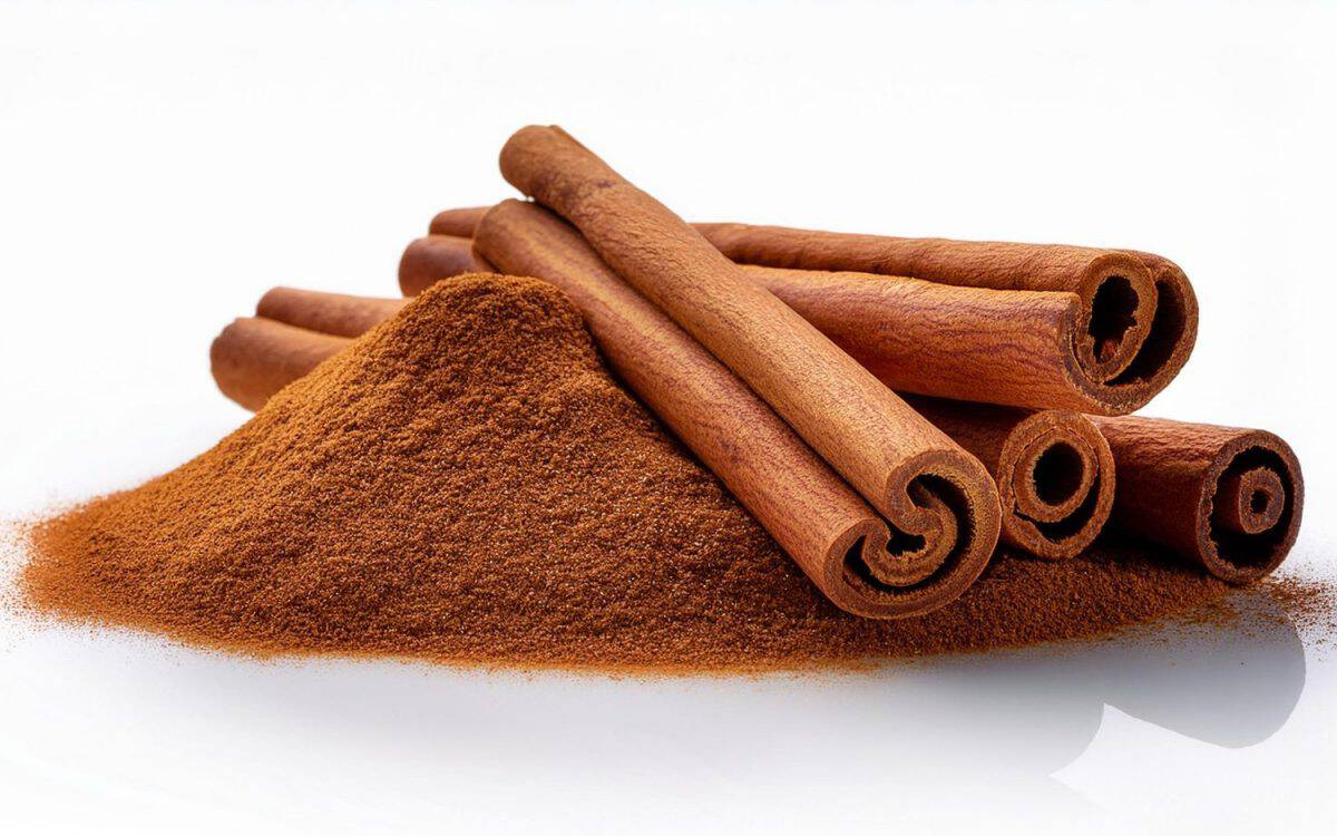 Cinnamon sticks isolated on white background with cinnamon or bown sugar powder with shadow