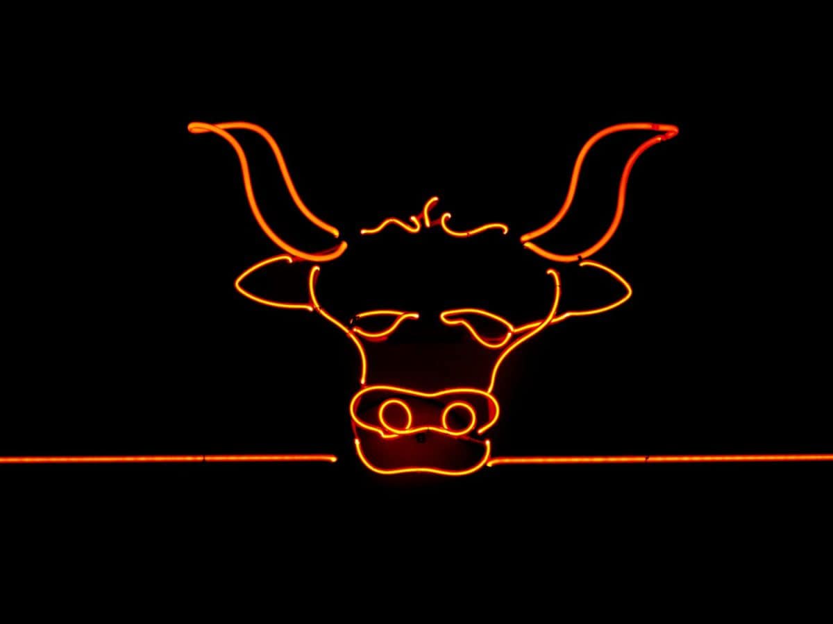 Neon sign shaped like a bull or steer often found in the window of a steakhouse