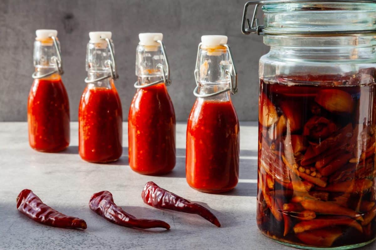 Four small bottles of chili hot sauce made from fermented dry de Cayenne chilies. Jar with fermentation process and dry chilies in front.