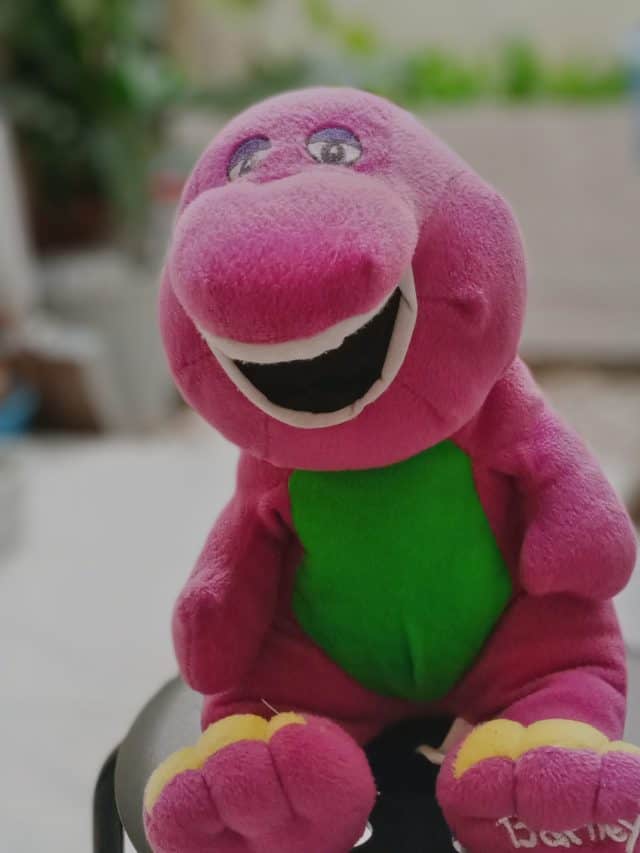 The Barney Show at my home