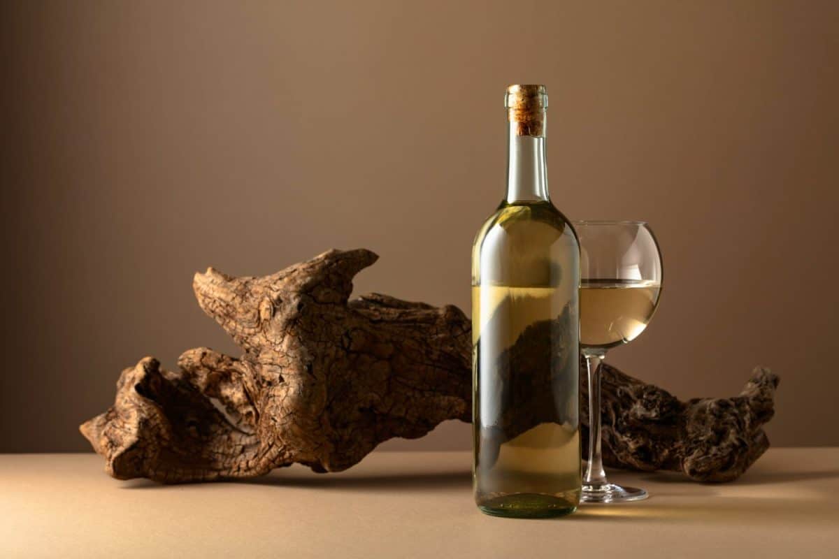 White wine and old snag on a beige background. Copy space.