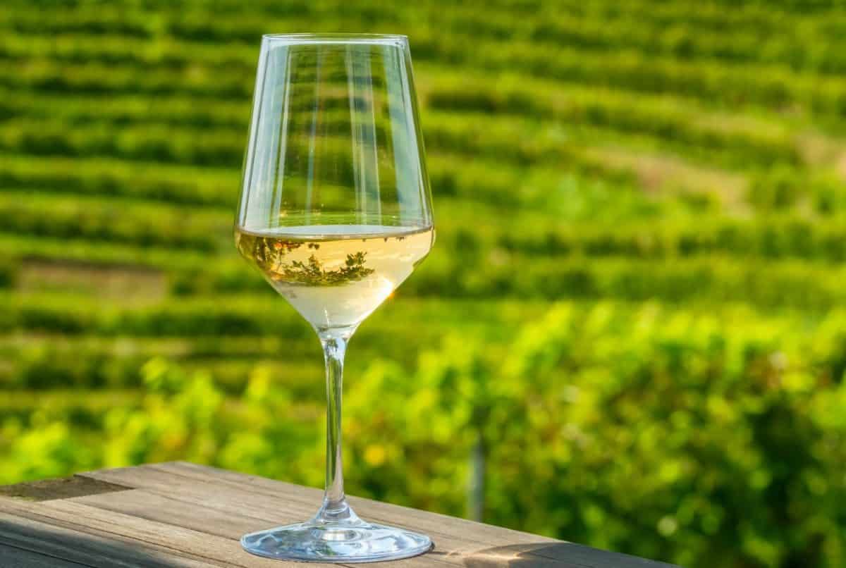 Close-up of a glass of white wine on a wooden table, with green vineyards in the background. Wine tasting, rating, and savoring. Forget Chardonnay, These 12 White Wines Are Better