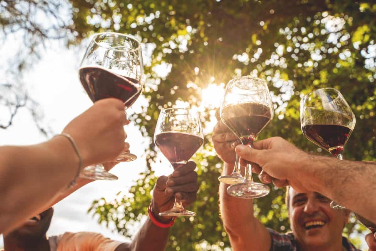 Diverse group of friends raising wine glasses against sunlit trees. Close-up of hands toasting with red wine outdoors, representing celebration, friendship, and joyful moments in nature. I Used to Only Drink Cabernet Sauvignon, But These 16 Red Wines Are Better