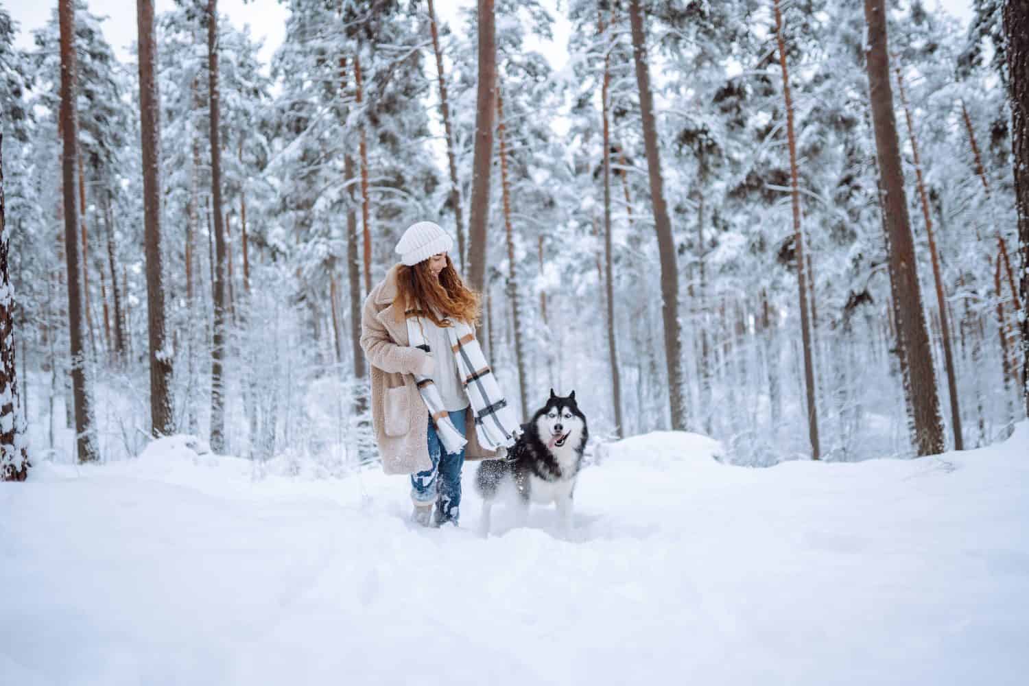 Perks of the Cushionaire Hip 2 Suede Snow Boot