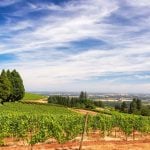 Budget-Friendly Living in Beautiful Wine Regions