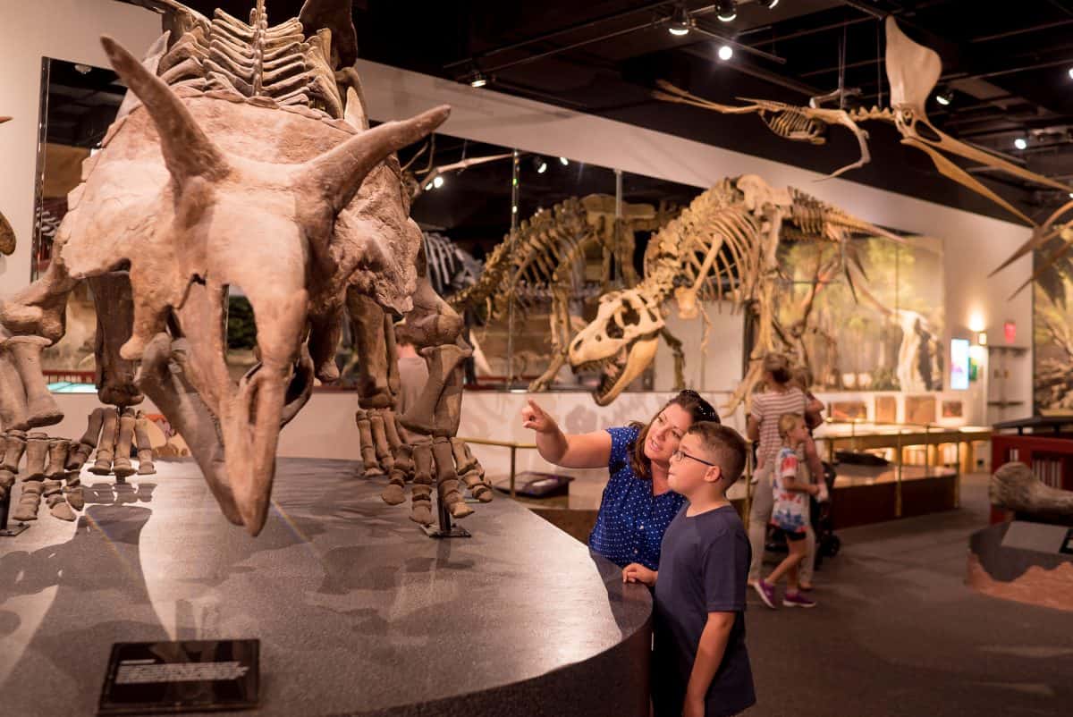 People looking at dinosaur bones at the Arizona Museum of Natural History.