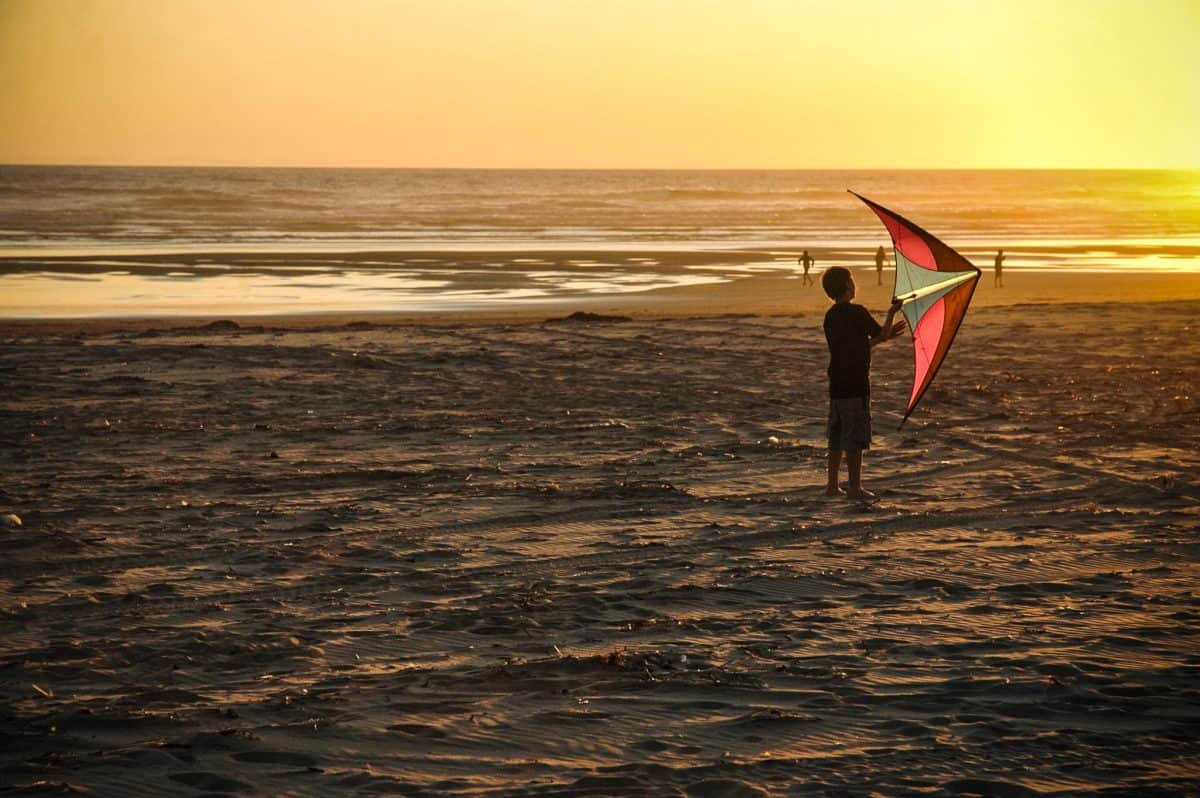 kid flying kite on the beach