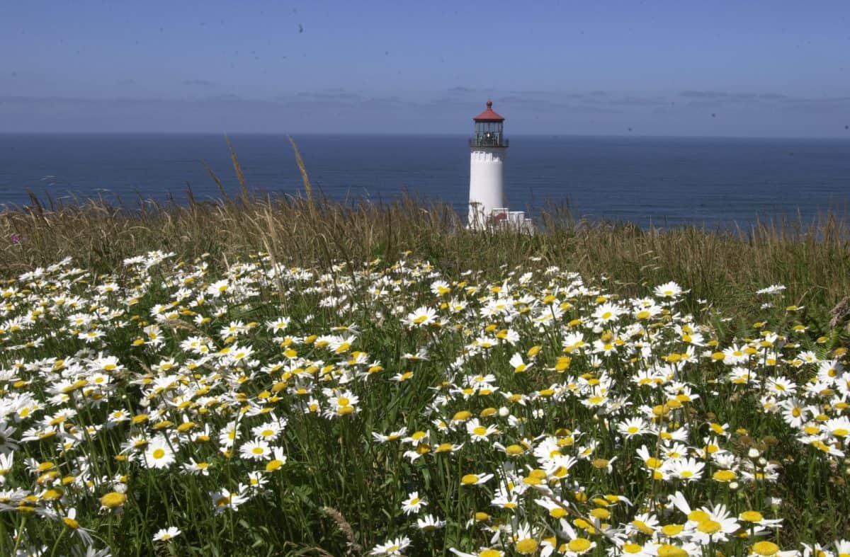 North Head Lighthouse