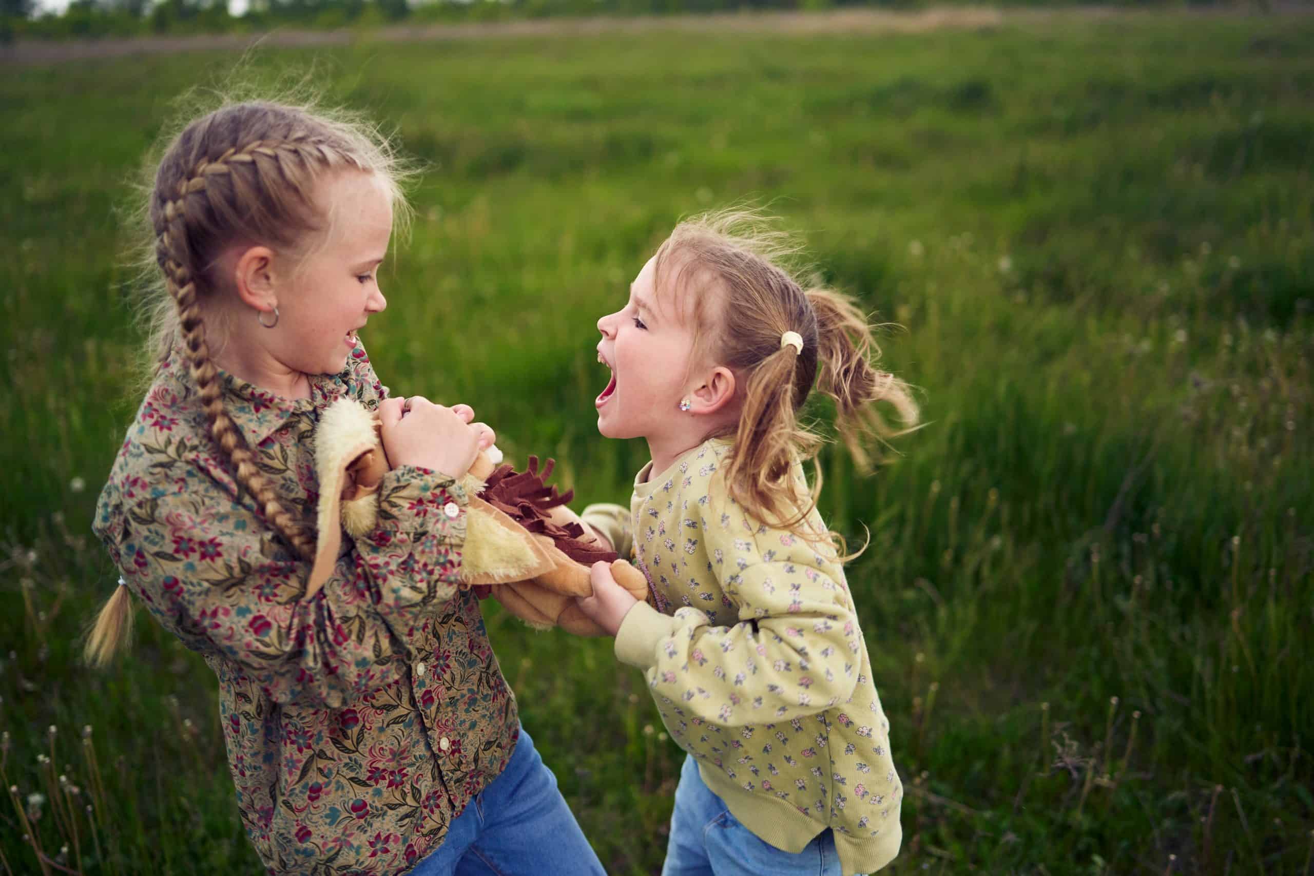 Child Not Having Conflict Resolution Skills